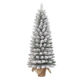 Black Box Trees Gerlos kerstboom potted groen frosted TIPS 166 - h120xd51cm - maximondo