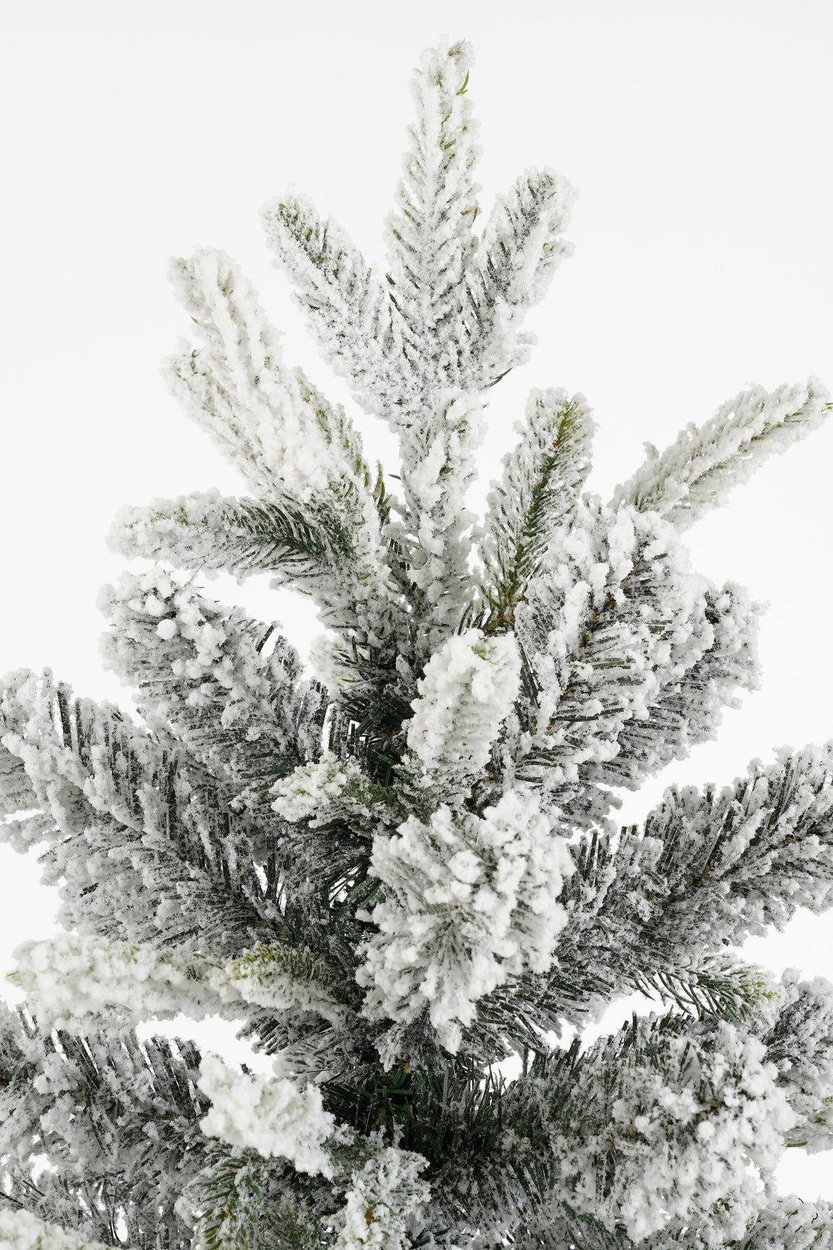 Black Box Trees Grimshaw kerstboom potted groen frosted 120 TIPS - h90xd61cm