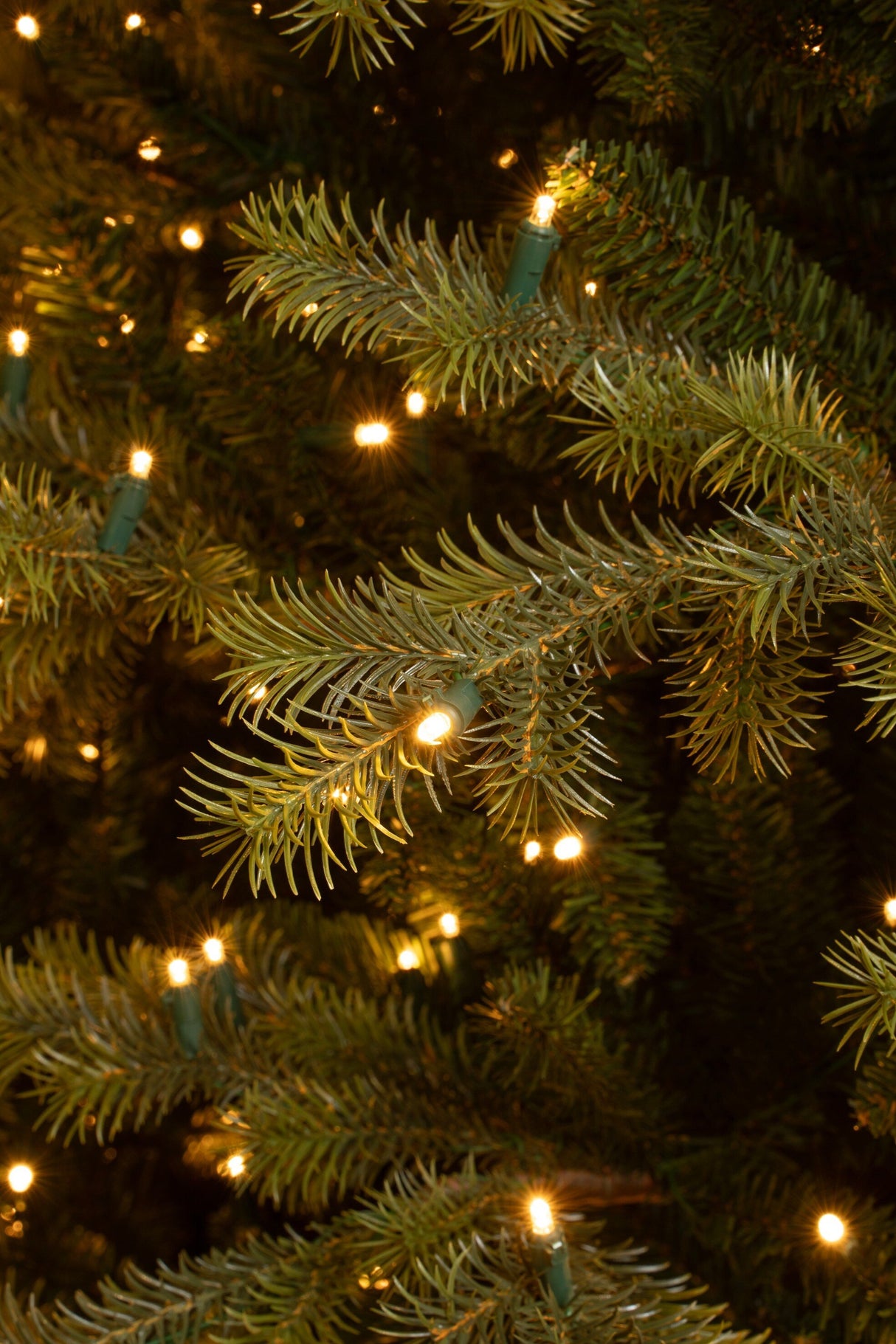 Black Box Trees Clive kerstboom led groen 280L TIPS 2674 - h215xd142cm