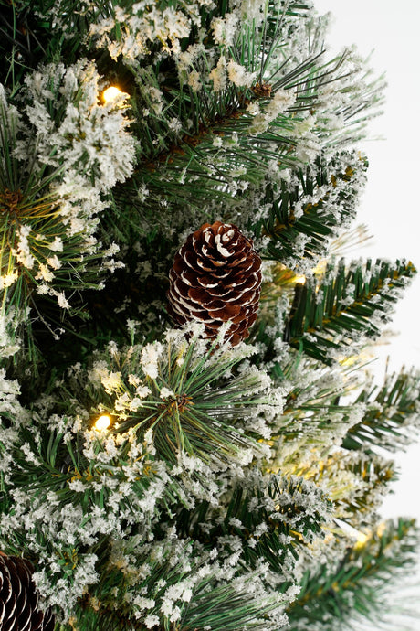 Black Box Trees Vandans kunstkerstboom in Pot - H90 x Ø48 cm - Groen Frosted