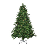 Black Box Trees Brampton kerstboom led groen 260L TIPS 1992 - h215xd142cm