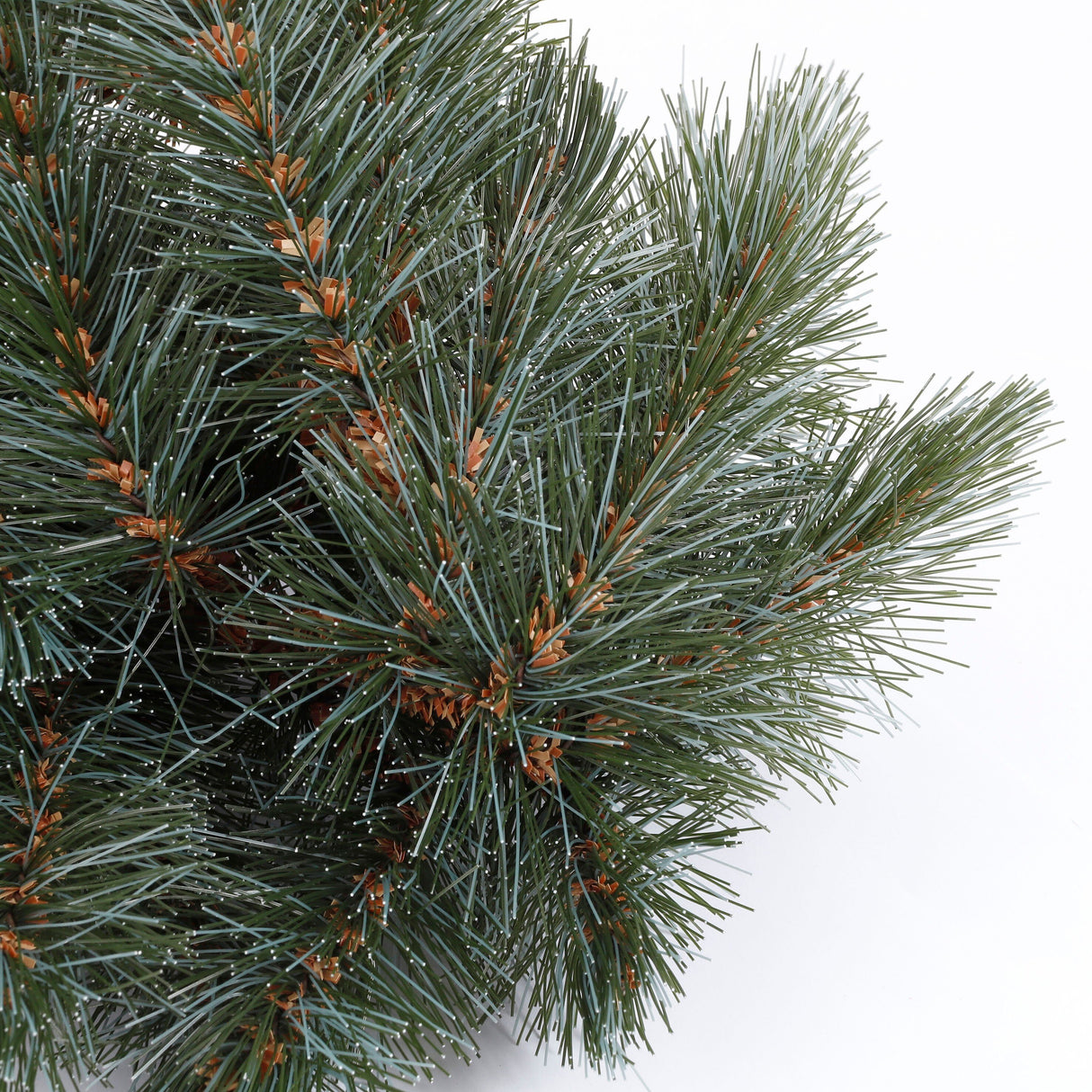 Triumph Tree Forest frosted pine swag newgrowth blue TIPS 230 - l180xd36cm