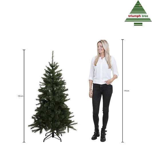 Triumph Tree Forrester kerstboom groen TIPS 454 - h155xd102cm