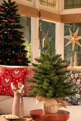 Triumph Tree Forest frosted kerstboom met burlap led groen 48L TIPS 64 - h60xd46cm - maximondo