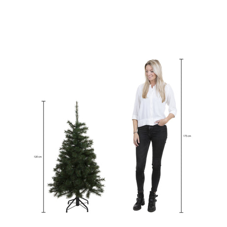 Triumph Tree Tsuga kerstboom groen TIPS 190 - h120xd86cm