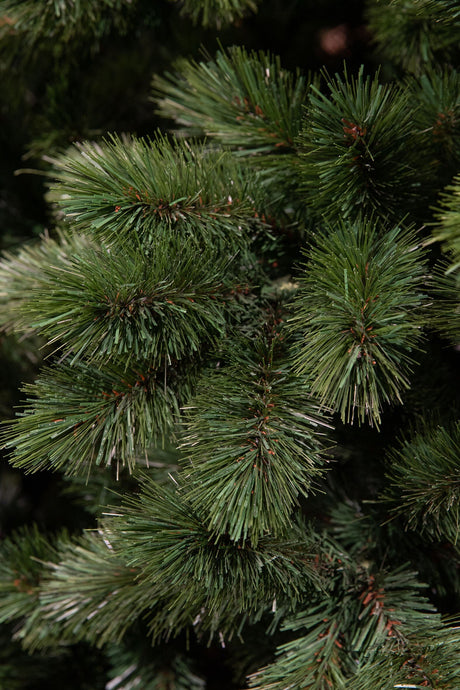 Triumph Tree Camden kerstboom w-burlap groen TIPS 58 - h60xd43cm