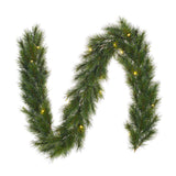 Black Box Trees Glendon guirlande led werkt op batterijen groen 30L TIPS 150 - l270xd25cm