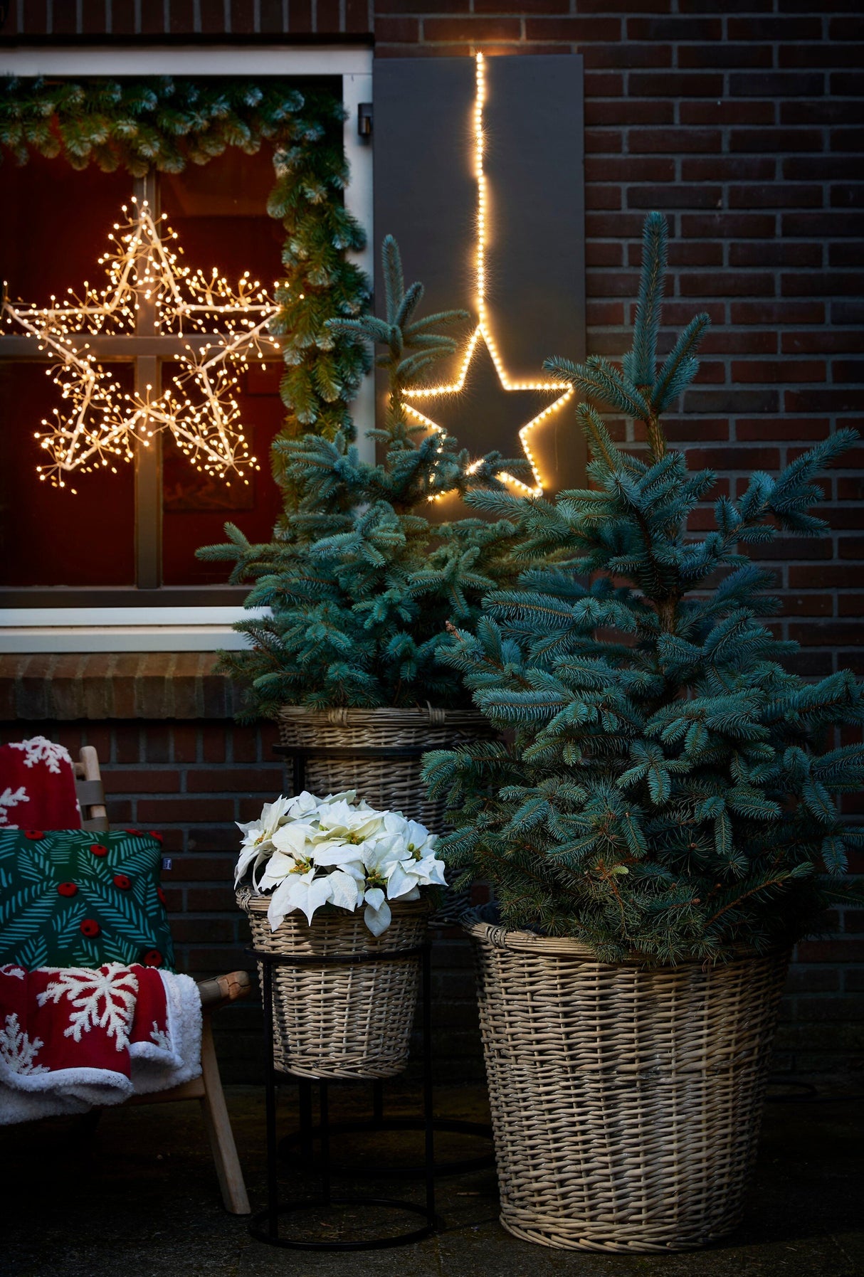 Triumph Tree Colorado guirlande groen frosted TIPS 210 - l270xd30cm - maximondo