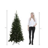 Triumph Tree Bristlecone kerstboom groen TIPS 686 - h185xd119cm