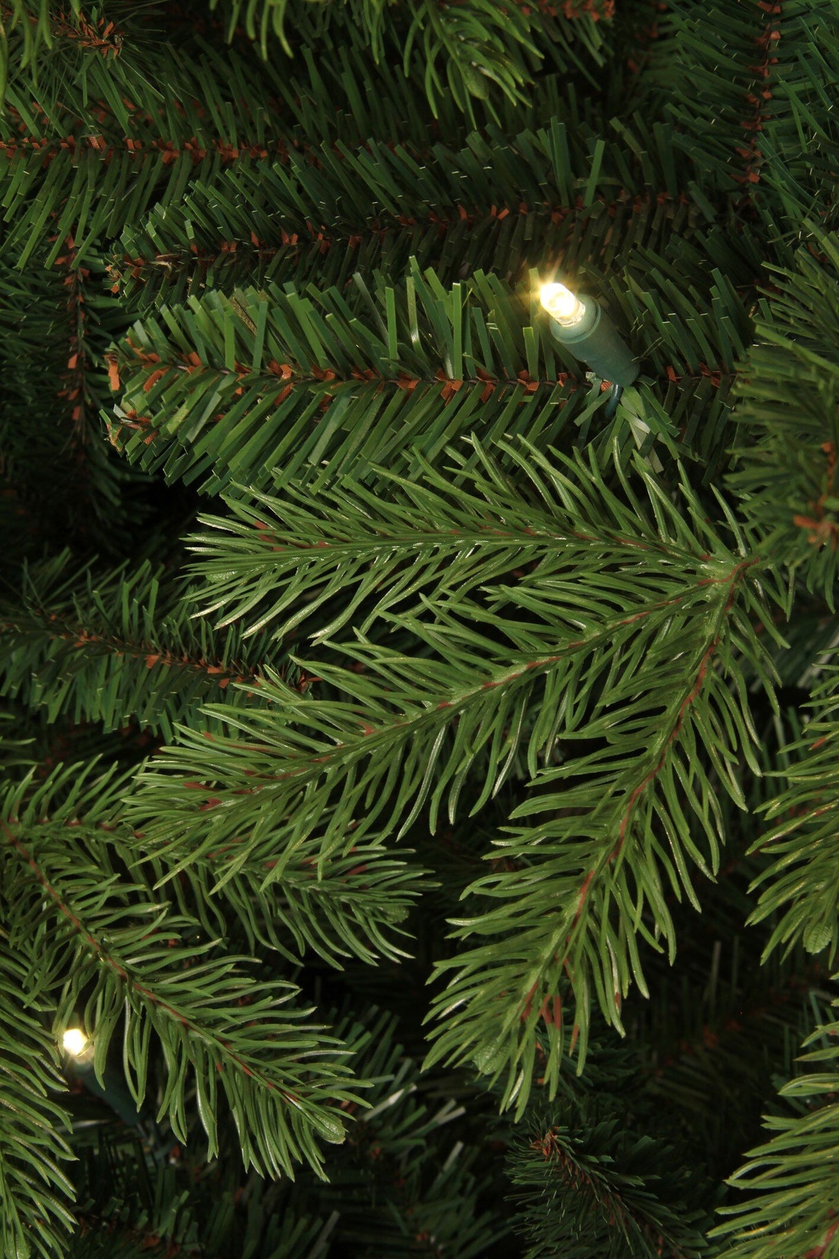 Black Box Trees Brampton kerstboom led groen 260L TIPS 1992 - h215xd142cm