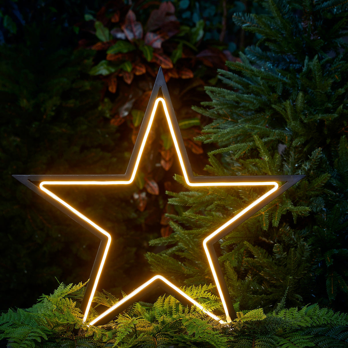 Luca Lighting Garden d light neon tuinsteker ster  IP44 timer