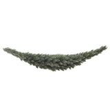 Triumph Tree Forest frosted pine swag newgrowth blue TIPS 230 - l180xd36cm