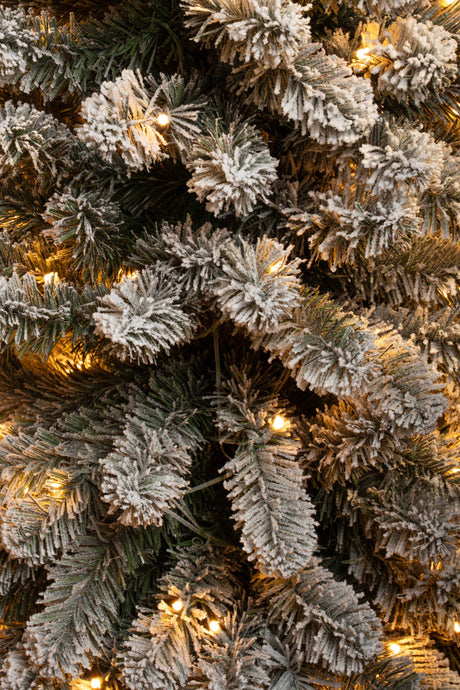 Black Box Trees Charlton Pilar kerstboom led groen frosted warm wit 230L TIPS 498 en timer & dimmer - h260xd63cm