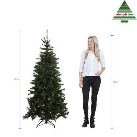 Triumph Tree Forrester kerstboom groen TIPS 562 - h185xd109cm