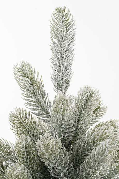Black Box Trees Nagoya kerstboom potted groen frosted TIPS 175 - h90xd55cm - maximondo