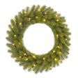 Black Box Trees Nagoya krans led groen 30L TIPS 126 battery operated - h12xd60cm - maximondo