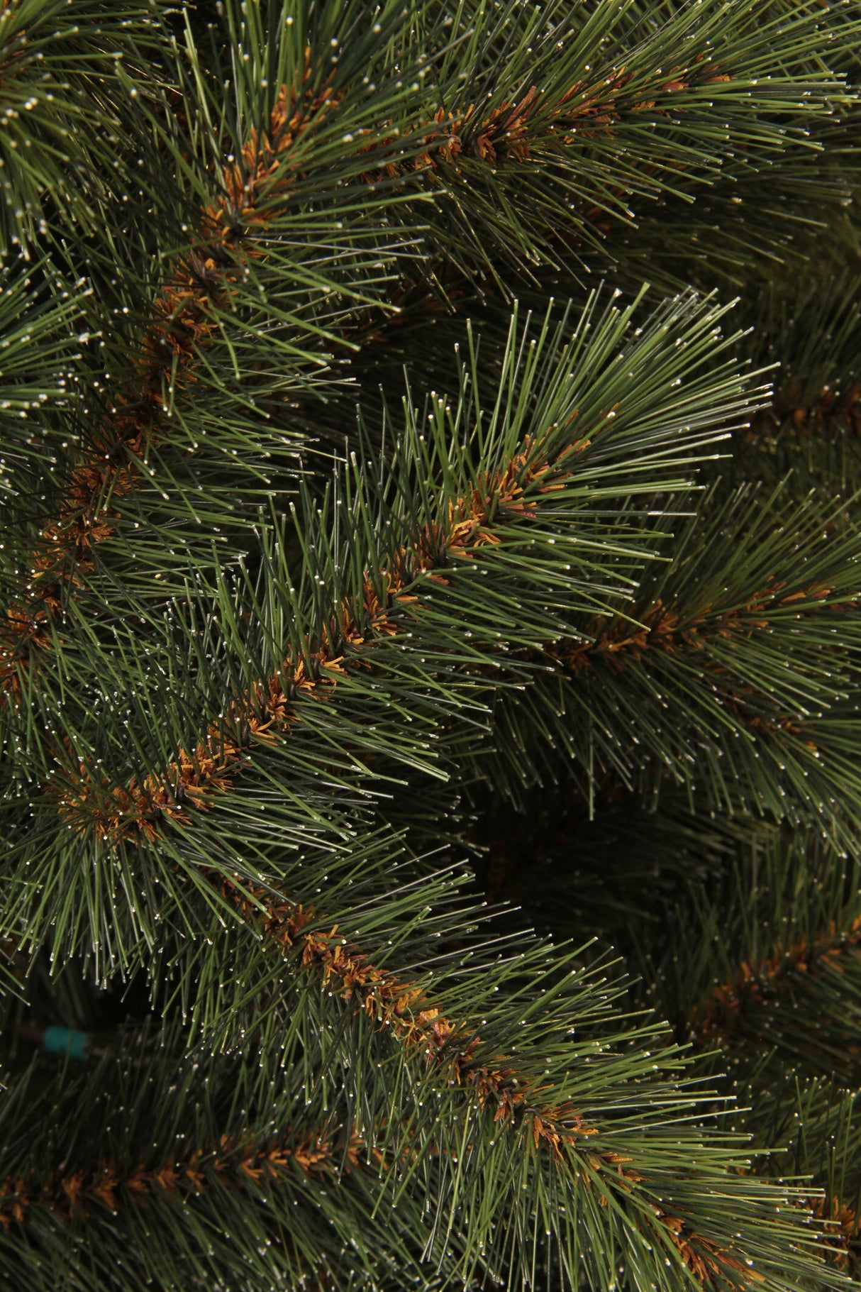 Triumph Tree Bristlecone kerstboom groen TIPS 1583 - h260xd163cm