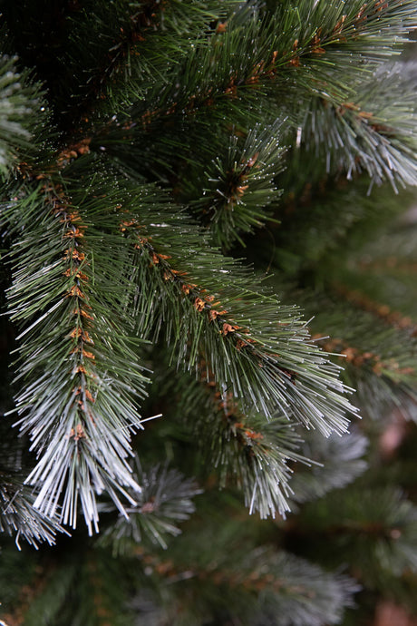 Triumph Tree Pittsburgh kerstboom groen TIPS 274 - h120xd71cm