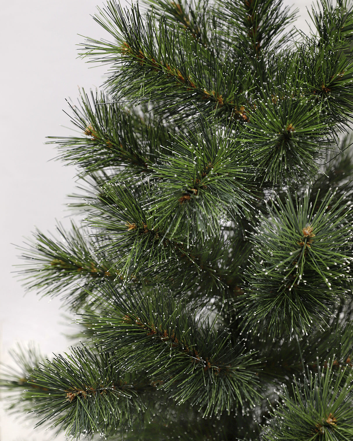 Black Box Trees Glendon kerstboom potted groen TIPS 88 - h90xd51cm