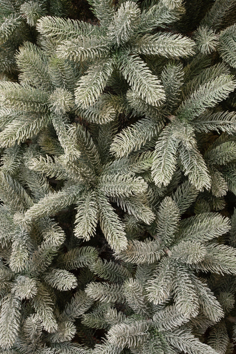 Black Box Trees Nagoya Kunstkerstboom - ↕240 x Ø138 cm - Groen Frosted