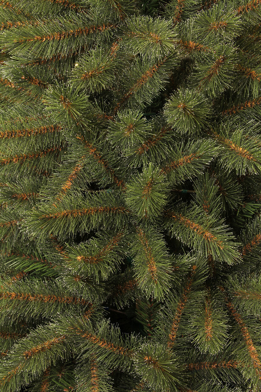 Triumph Tree Bristlecone kerstboom groen TIPS 1583 - h260xd163cm