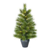 Black Box Trees Glendon kerstboom potted led werkt op batterijen groen 30L TIPS 88 - h90xd51cm