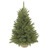 Triumph Tree Forest frosted kerstboom w burlap groen TIPS 106 - h90xd62cm