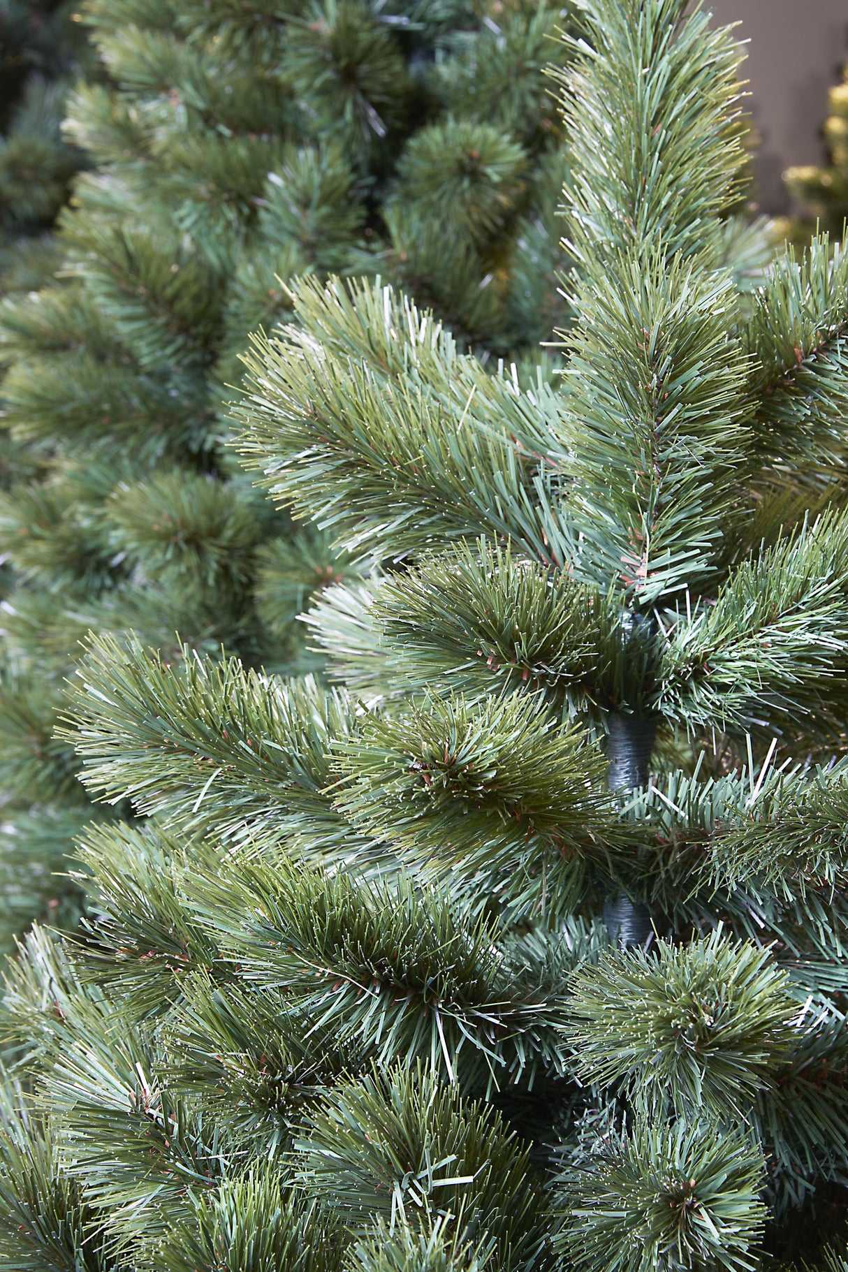 Triumph Tree Camden kerstboom slim groen TIPS 195 - h120xd69cm