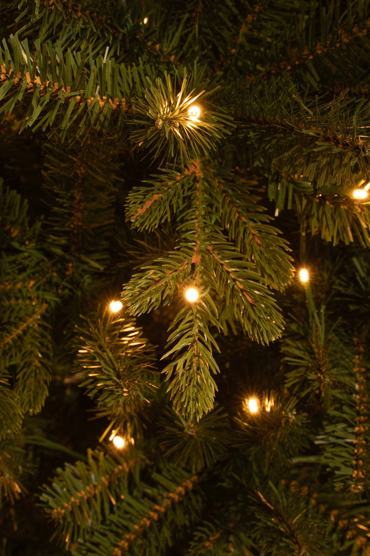 Black Box Trees Harma Smalle Kunstkerstboom met LED Verlichting - ↕185 - Ø63 cm - Groen