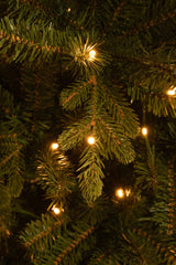 Black Box Trees Harma Smalle Kunstkerstboom met LED Verlichting - ↕185 - Ø63 cm - Groen