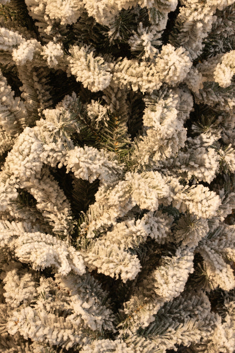 Black Box Trees Harma Pilar kerstboom groen frosted TIPS 861 - h215xd66cm