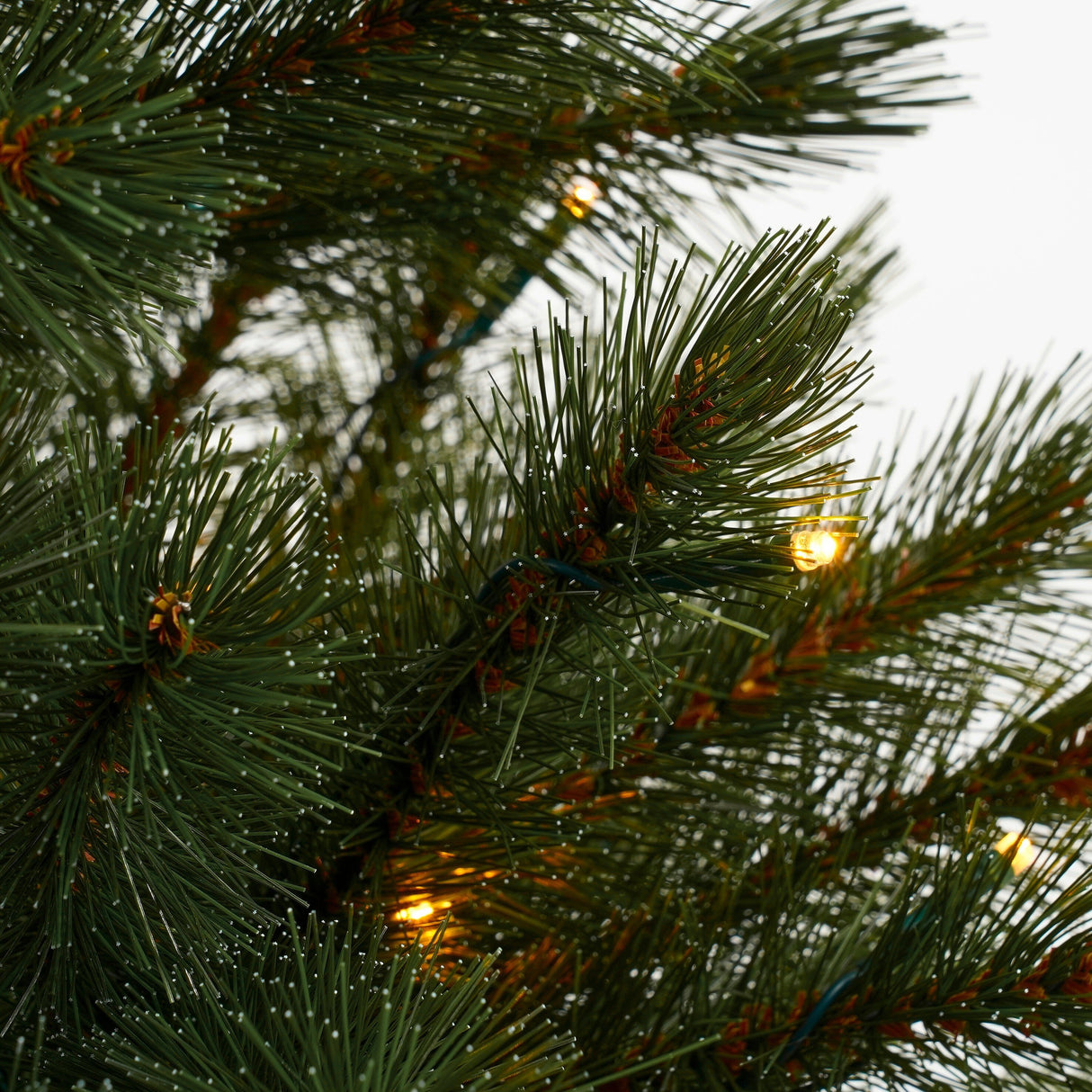 Triumph Tree Bristlecone kunstkerstboom met LED verlichting - H185 x Ø119 cm