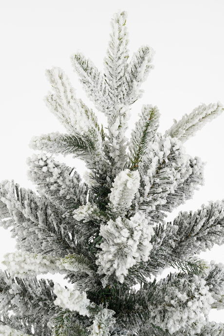 Black Box Trees Grimshaw kerstboom groen frosted 206 TIPS - h120xd60cm