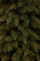 Triumph Tree Bristlecone Pilar kerstboom groen TIPS 450 - h185xd79cm