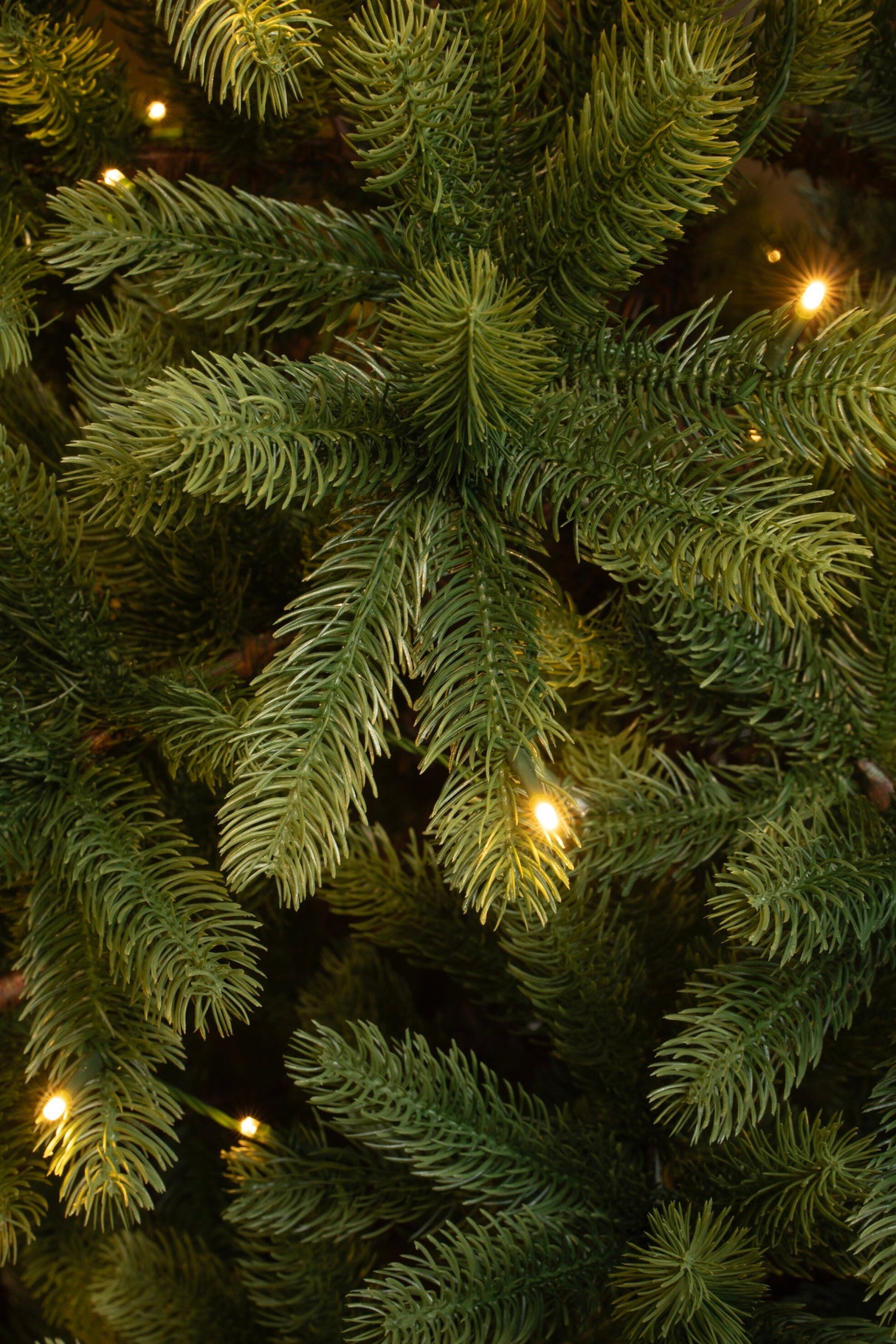Black Box Trees Nagoya kerstboom led groen 160L TIPS 922 - h180xd108cm