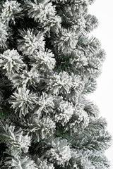 Black Box Trees Charlton Pilar kerstboom groen frosted TIPS 280 - h185xd53cm