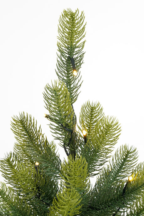 Black Box Trees Nagoya kerstboom potted led groen 50L TIPS 175 battery operated - h90xd55cm