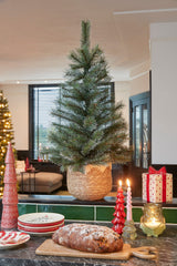 Black Box Trees Glendon kerstboom potted groen TIPS 88 - h90xd51cm