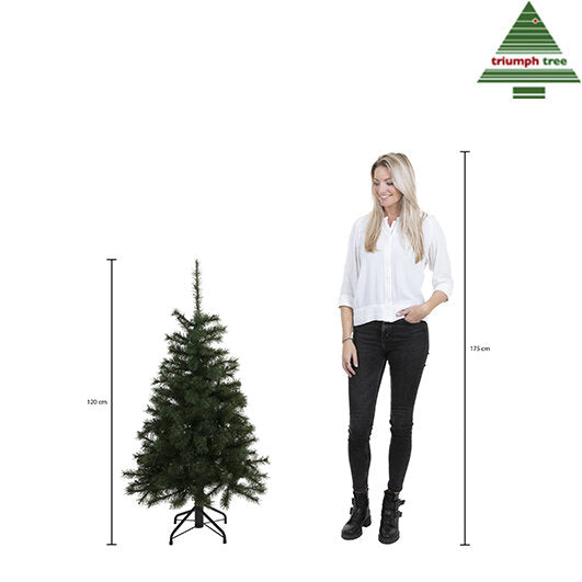 Triumph Tree Forest frosted pine kerstboom groen TIPS 396 - h120xd99cm