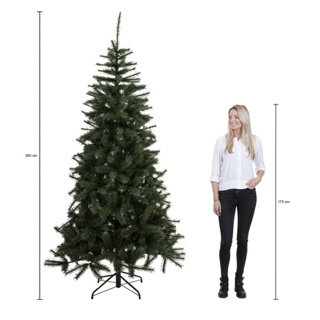 Triumph Tree Bristlecone kerstboom groen TIPS 1583 - h260xd163cm
