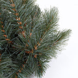 Triumph Tree Forest frosted pine slinger newgrowth blue TIPS 210 - l270xd33cm