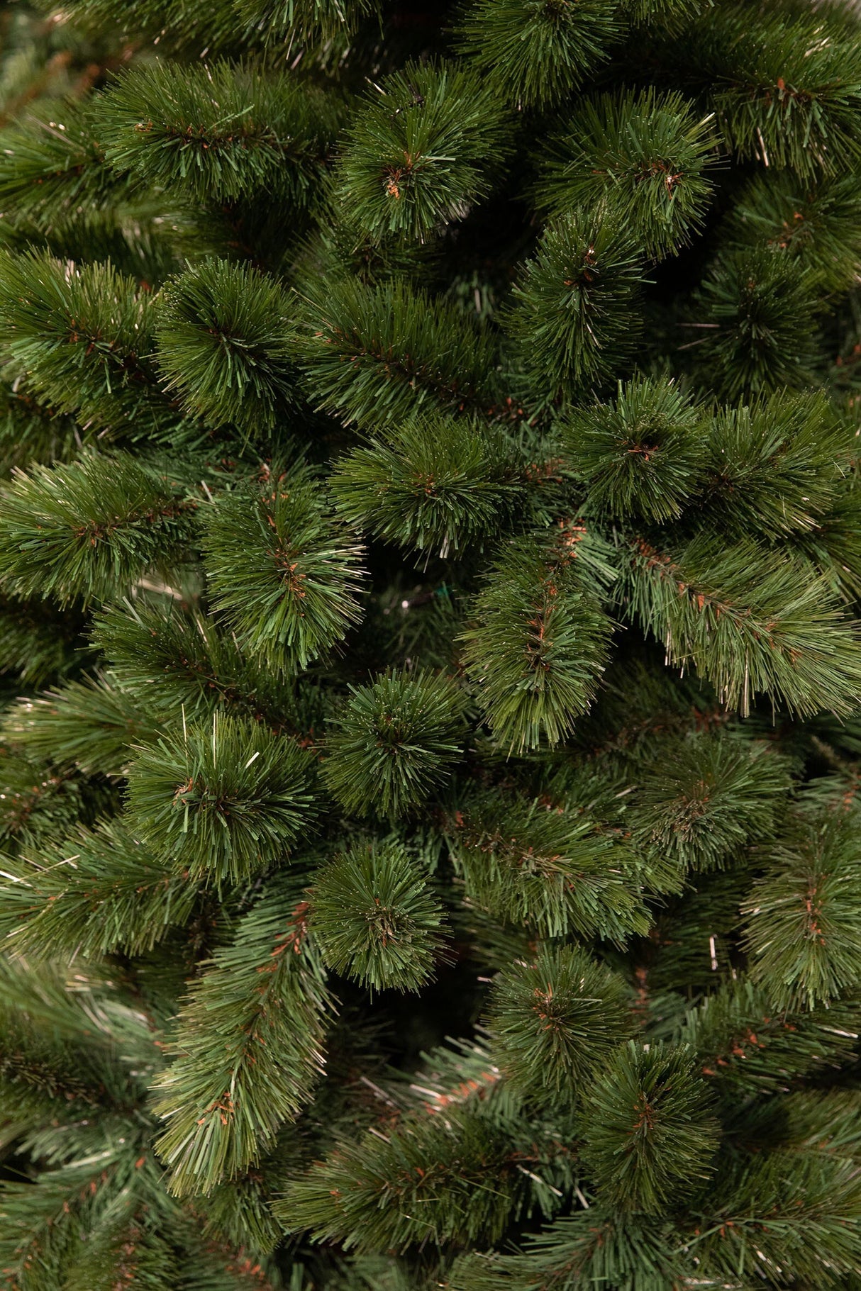 Triumph Tree Tsuga kerstboom groen TIPS 190 - h120xd86cm