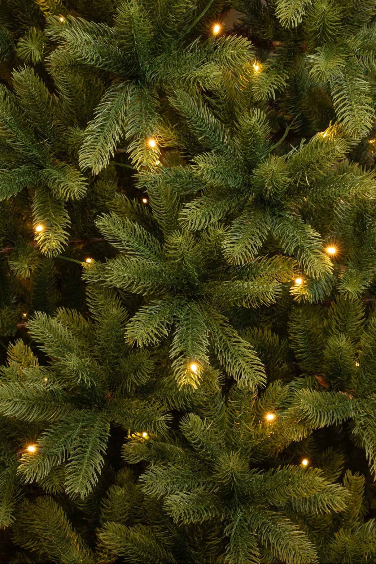 Black Box Trees Nagoya kerstboom led groen 160L TIPS 922 - h180xd108cm