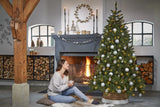 Triumph Tree Bristlecone kerstboom groen TIPS 686 - h185xd119cm