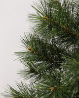 Black Box Trees Glendon kerstboom potted groen TIPS 88 - h90xd51cm