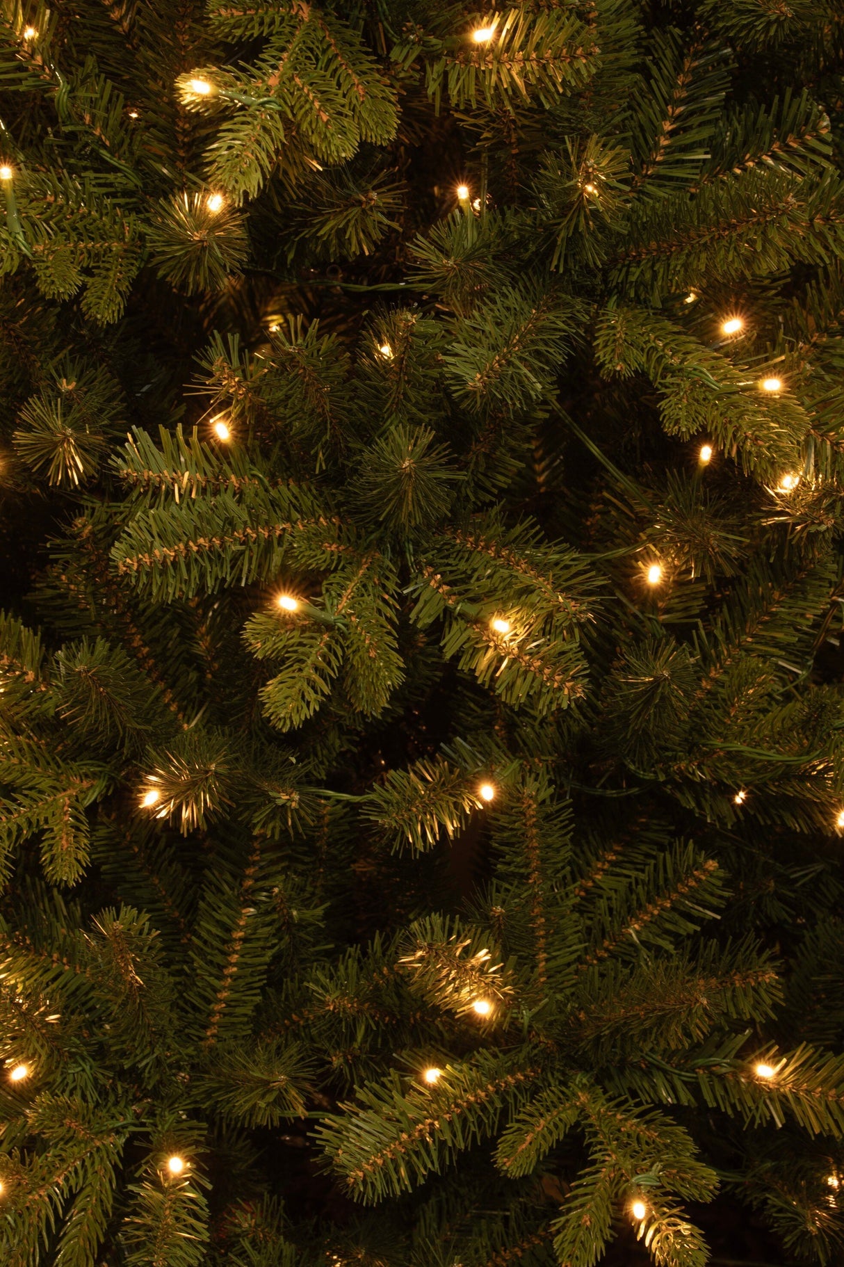 Black Box Trees Harma Smalle Kunstkerstboom met LED Verlichting - ↕185 - Ø63 cm - Groen