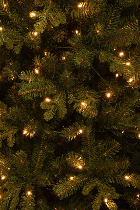 Black Box Trees Harma Smalle Kunstkerstboom met LED Verlichting - ↕185 - Ø63 cm - Groen