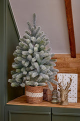 Black Box Trees Nagoya kerstboom potted groen frosted TIPS 175 - h90xd55cm - maximondo