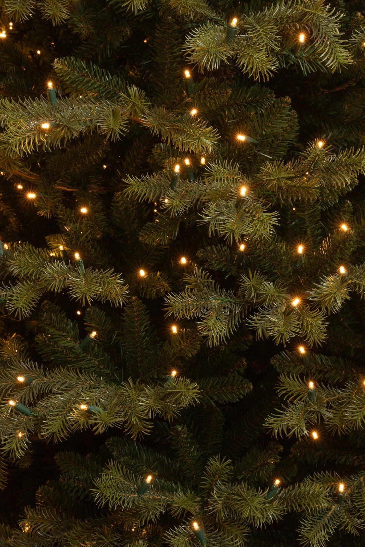 Black Box Trees Clive kerstboom led groen 280L TIPS 2674 - h215xd142cm