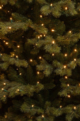 Black Box Trees Clive kerstboom led groen 280L TIPS 2674 - h215xd142cm